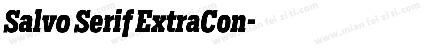 Salvo Serif ExtraCon字体转换